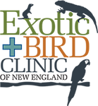 Exotic and Bird Clinic of New England logo